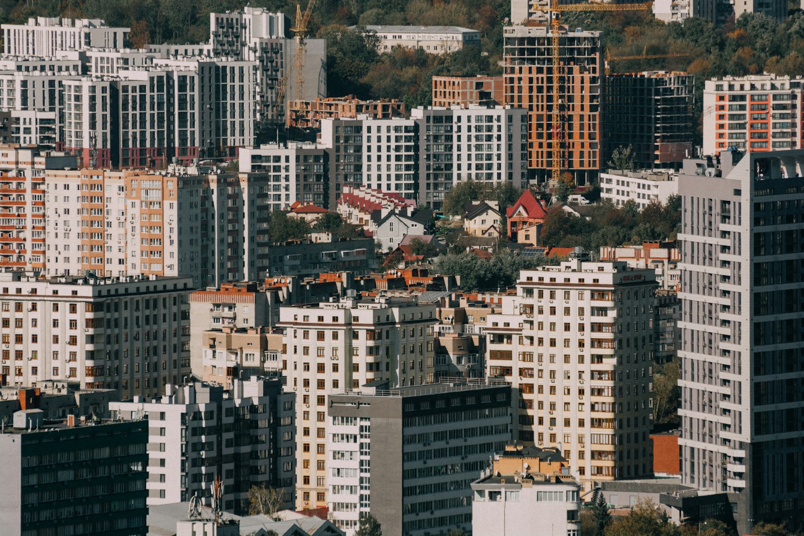 Társasházak, éttermek, cégek kártevőirtása